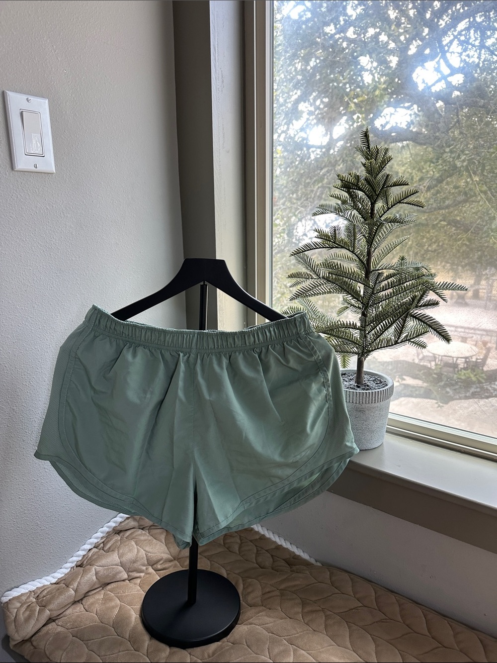 Nike Women's Sage Green Athletic Shorts